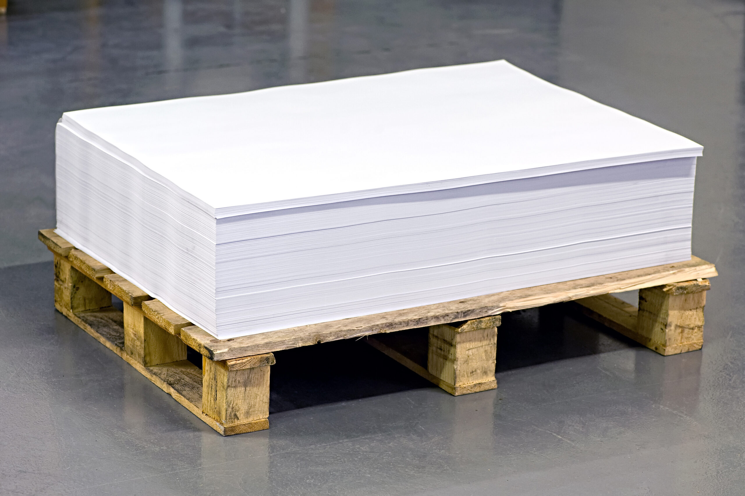Pile,Of,Empty,White,Documents,On,Top,Of,Paper,Pallet